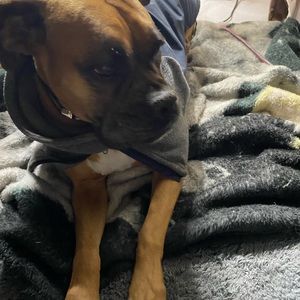 Meet your Posher, Nathan